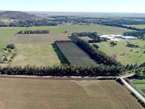 Mar del Plata, Sierra de los Padres - 21 ha