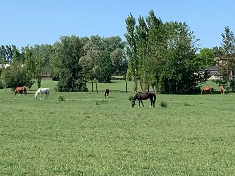CASA EN POZO , CHACRAS DE LA CRUZ 43
