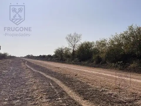 Campo - desmonte - Percas - avellaneda - santiago del estero
