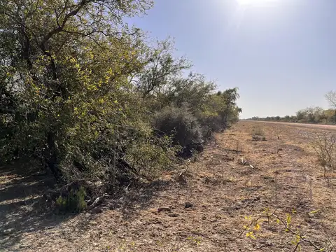 Campo - desmonte - Percas - avellaneda - santiago del estero