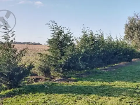 Campo en  Coronel Vidal
