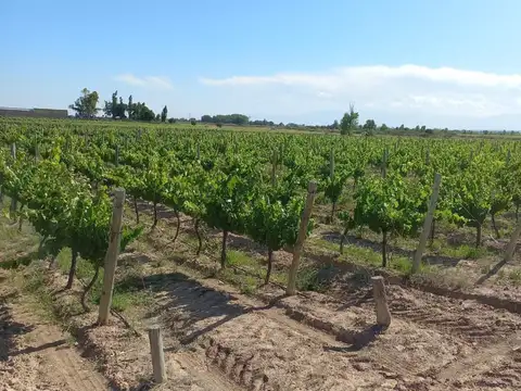 Terreno en Venta de 230000,0 m2