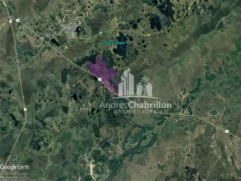 Apto Para La Producción De Frutales Y Forestación.