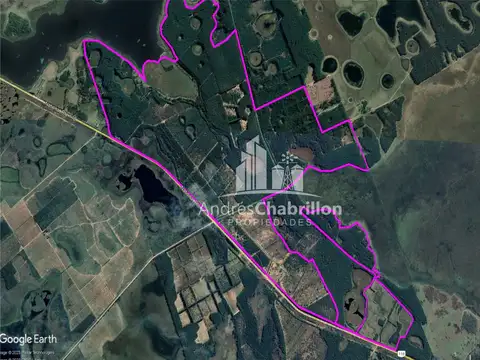 Saladas, Corrientes 100