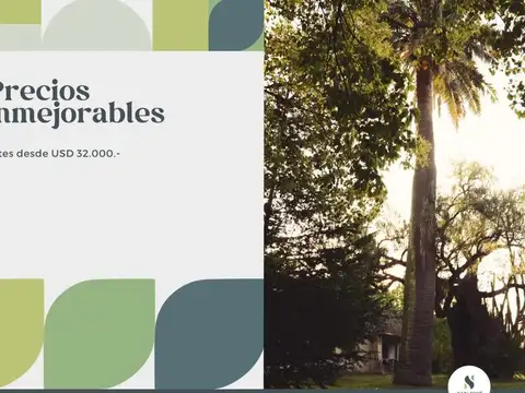 Alcalde Benito Rivas 1000