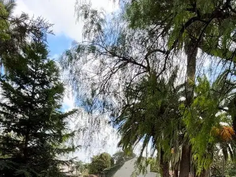 Alcalde Benito Rivas 1000