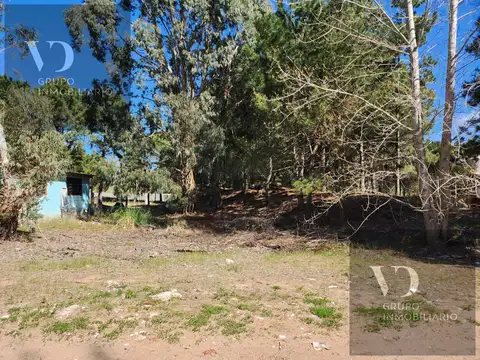 16 ENTRE FRIAS Y OBLIGADO