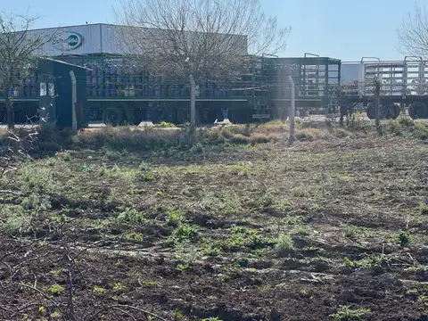 Ruta Nacional 19, Monte Cristo 100