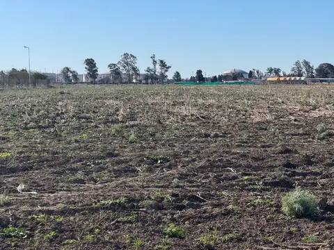 CAMPO 8 HECTAREAS RUTA 19 MONTECRISTO MI GRANJA