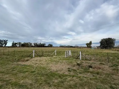 HECTAREA-ESTANCIA LA MORA/LUZ-PERMUTA EN MERCEDES!
