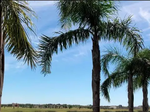 Lote a la laguna, salida al rio, El Naudir