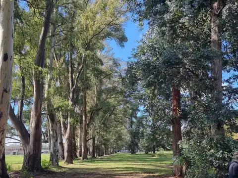 Bernardino Rivadavia km 14,5