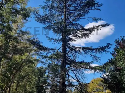 Terreno en Venta de 3436,0 m2