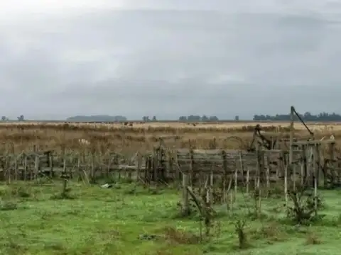 Campo Mixto De 490 Hectáreas En Venta En Benito Juárez