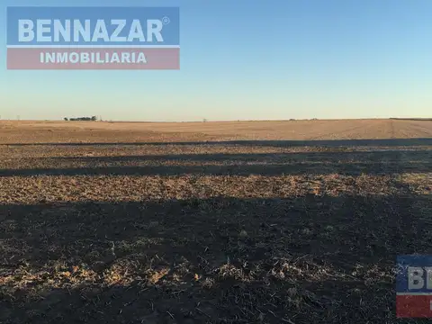 Venta Campo 17 Hectáreas en Gobernador Castro