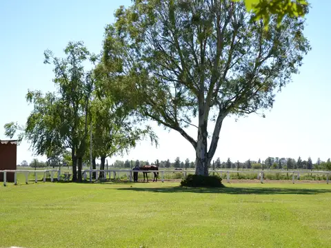 Terreno en Venta en Country Club Los Cardales, USD 24.900