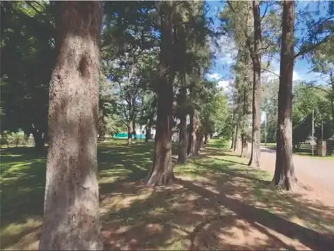 Las Casuarinas 400