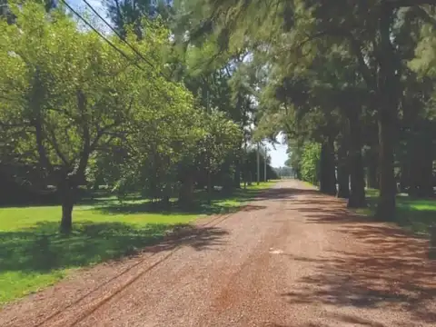Terreno en Venta en Alejandro Petion, USD 28.500