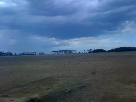 Terreno en Venta en Las Garzas, USD 25.000