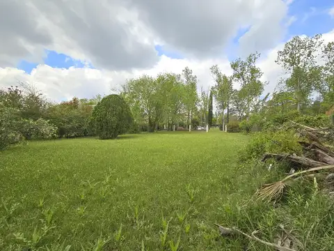 Terreno en Venta 50  mts Fondo