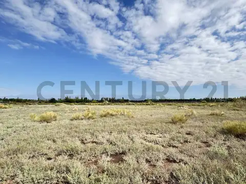 Terreno en Venta 285  mts Fondo