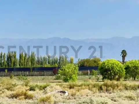 Terreno en Venta en Los Corralitos, Guaymallén