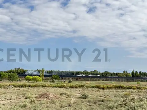 Terreno en Venta en Los Corralitos, USD 350.000