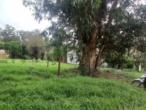 Terreno en Venta 31  mts Fondo