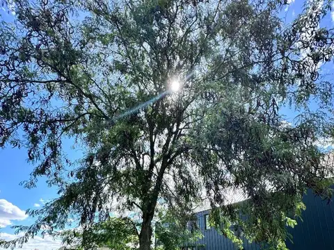 Terreno en Venta de 700,0 m2