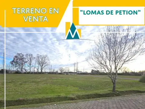 LOTES-TERRENO EN CAÑUELAS