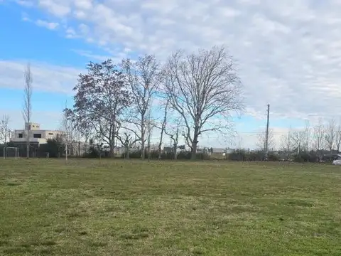 Terreno en Venta de 1931,0 m2