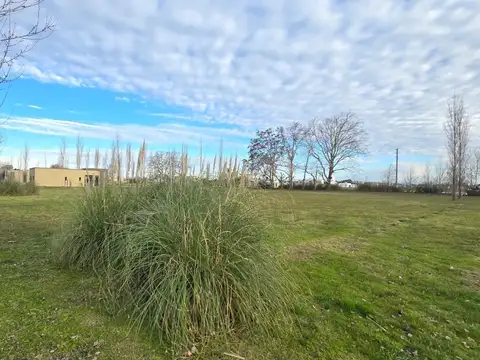 Terreno en Venta en Alejandro Petion, USD 45.000
