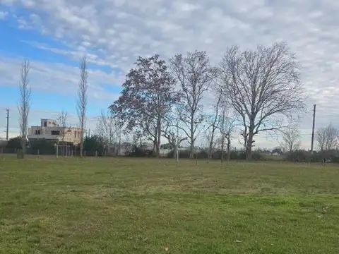 Terreno en Venta en Alejandro Petion, USD 45.000