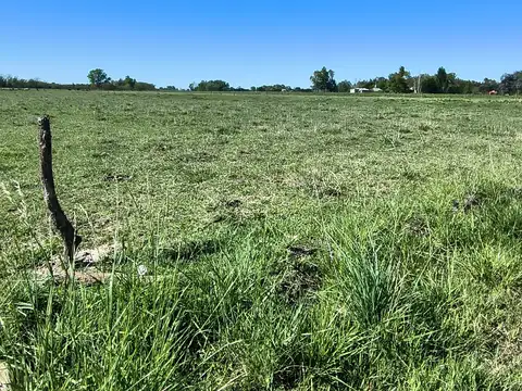 Campo en venta. Oportunidad. Mercedes, Buenos Aires.