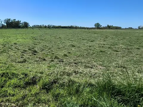 Campo en Venta de 1  ha