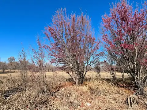 Venta Lote Tunuyán