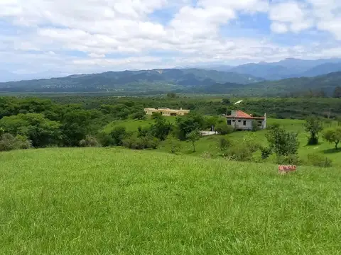 Urbanización San Roque