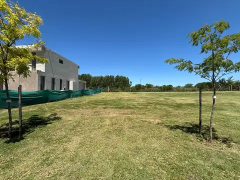 Terreno en Venta de 537,0 m2