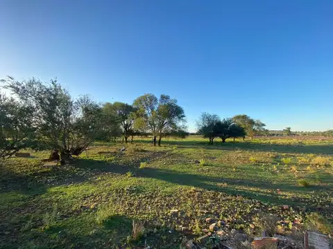 Terreno, Buira S/N al Norte de la Laguna Don Tomás