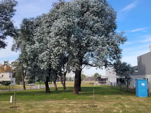 Terreno en Venta 30  mts Fondo