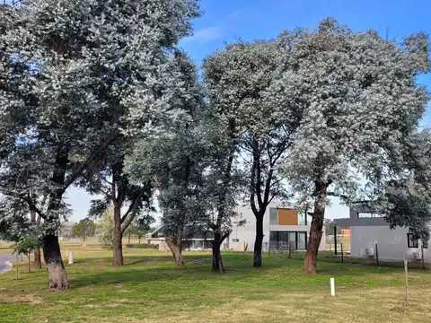 Terreno en  Azzurra Tortugas