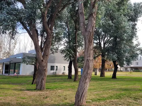 Azzurra Tortugas, Pilar.