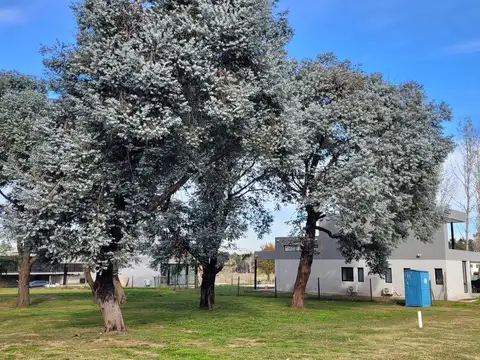Terreno en Venta de 614,0 m2