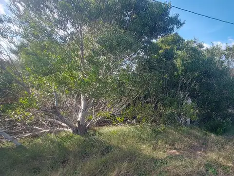 Terreno en Punta Rubia, Naturaleza, playa y futuro