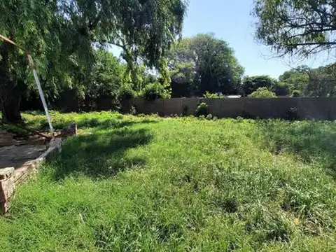 Estado de Israel 398