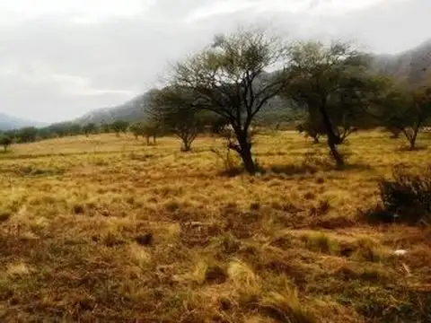 Terreno en Venta de 80000,0 m2