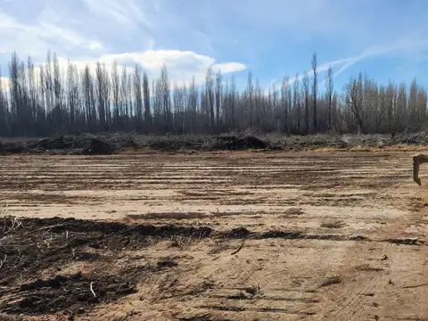 Terreno en Venta en Plottier, Confluencia