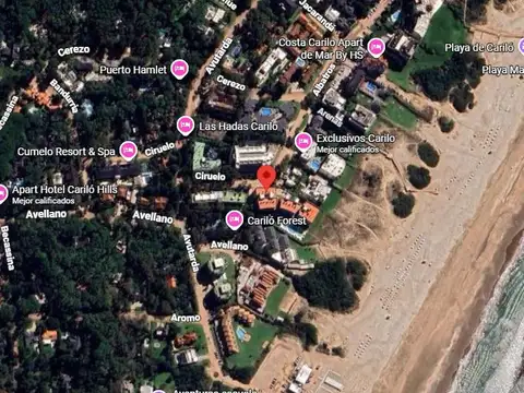 Ciruelo e/ Avutarda y Albatros