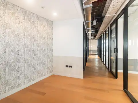 Alquiler Oficina 450 Mts. de alfombra - Blas Parera 51 - Vicente López