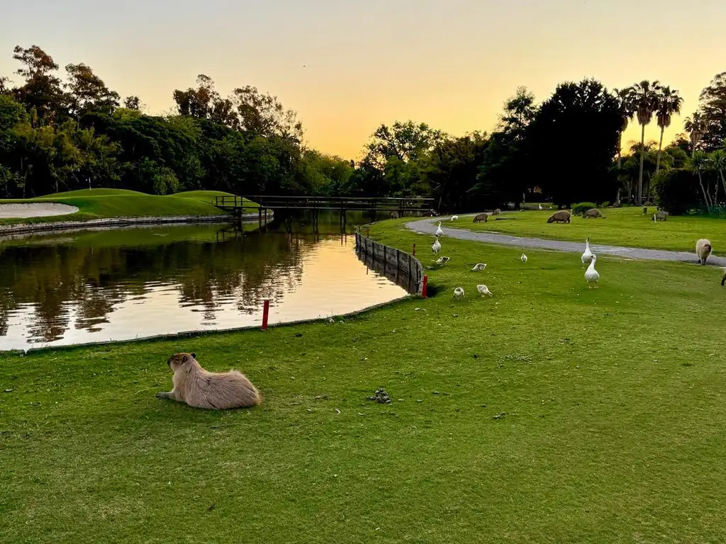 Casa en venta de 4 dormitorios en suite  con fondo al Lago en Abril Club de Campo, Guillermo Hudson - Foto 49